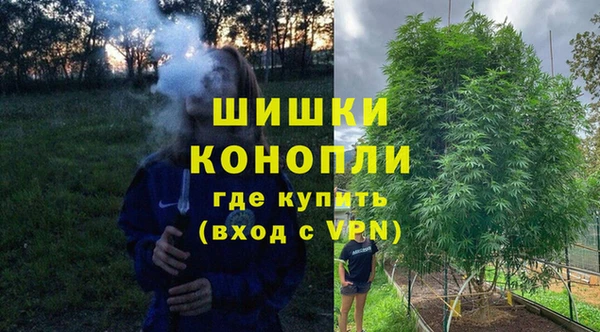 ГАЛЛЮЦИНОГЕННЫЕ ГРИБЫ Заводоуковск