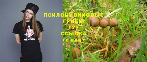 спайс Заволжье