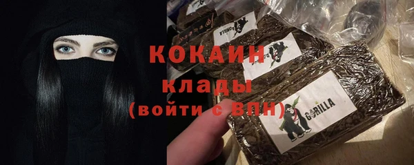 jwh Ельня