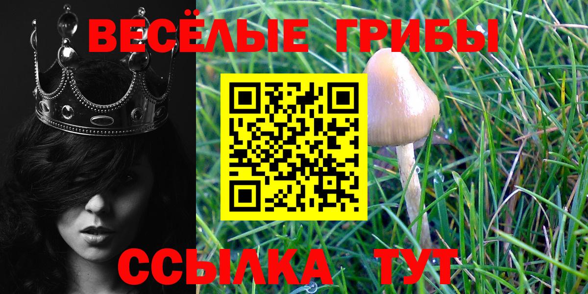 Пыть-Ях  Псилоцибиновые грибы прущие грибы  Вход с VPN 